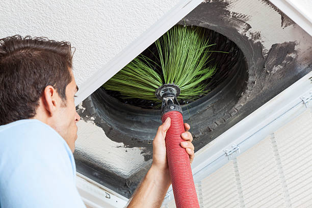 Best HVAC Air Duct Cleaning  in Tremont, IL